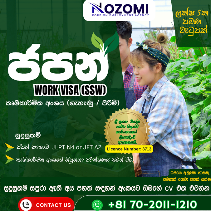 Japan Work Visa Nozomi